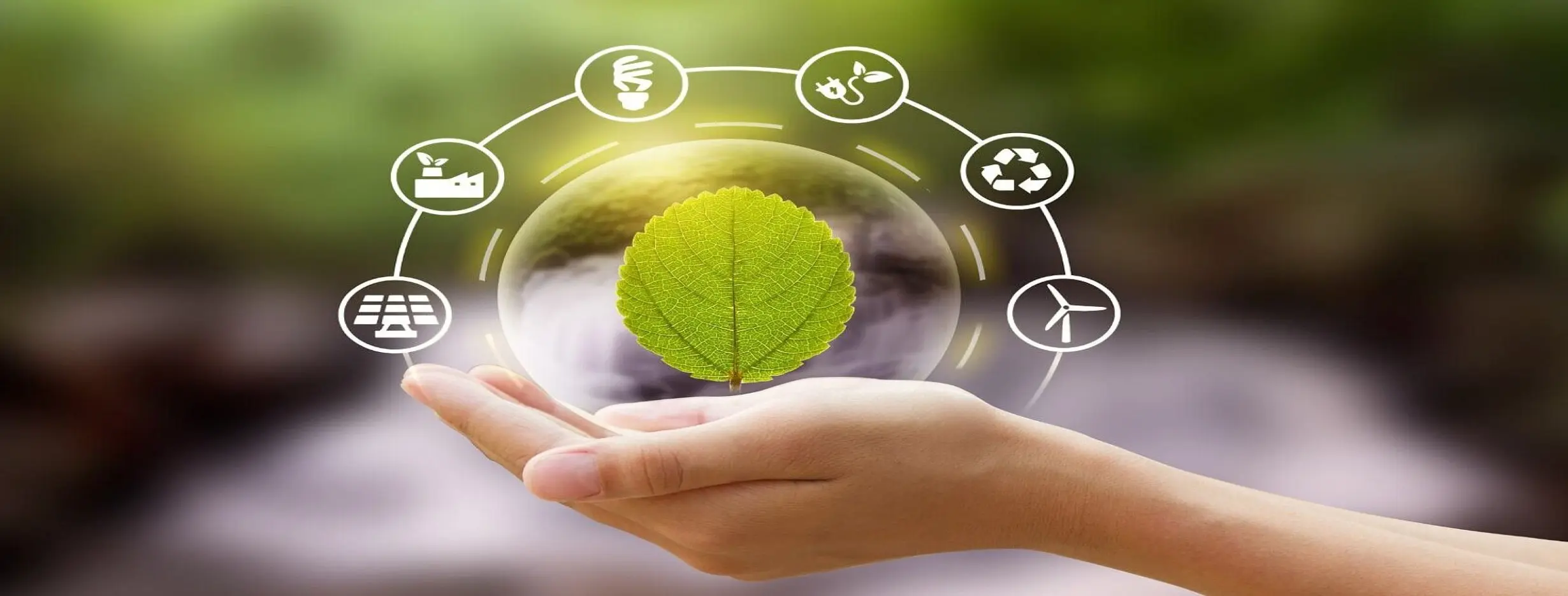 Image for Future Sustainability